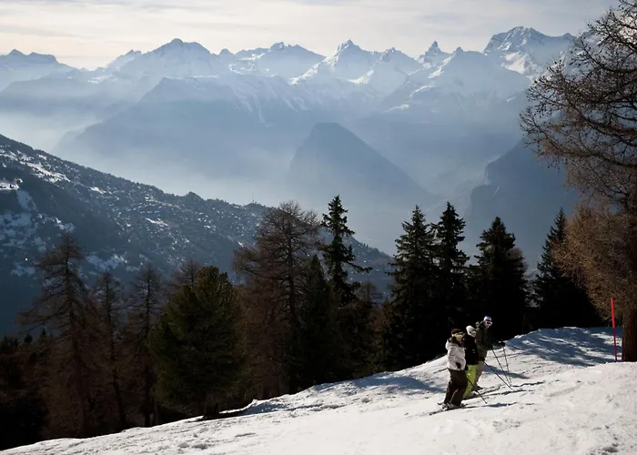 Beaulieu Cosy & Center